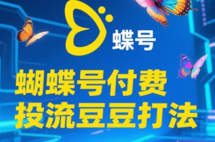 渔财老师·2025蝴蝶号付费投流豆豆打法-柯南聊项目
