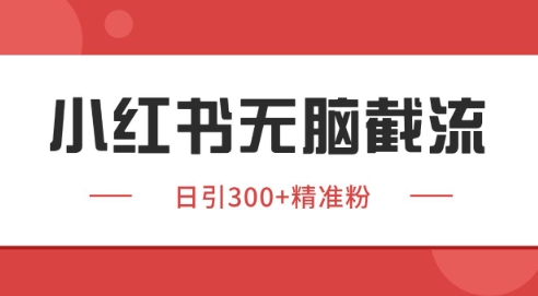 小红书截流同行客源，独家野路子获客玩法 日引200+暴力获客【揭秘】-柯南聊项目