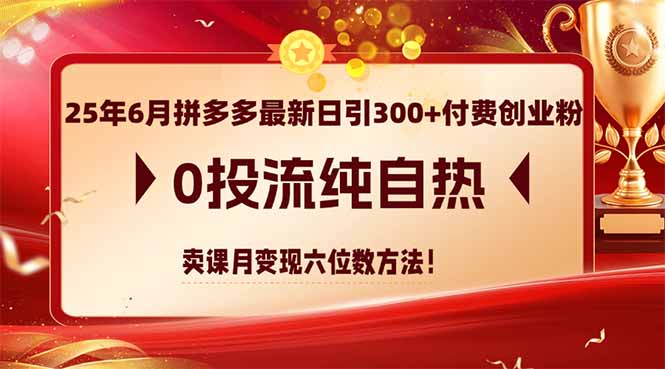 25年6月拼多多最新日引300+付费创业粉，0投流纯自热 卖课月变现六位数方法-柯南聊项目