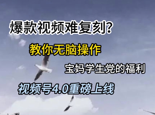 视频号4.0重磅上线，爆款视频难复刻？教你无脑操作宝妈学生党的福利【揭秘】-柯南聊项目