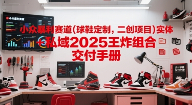 小众暴利赛道(球鞋定制，二创项目)实体+私域2025王炸组合  交付手册-柯南聊项目