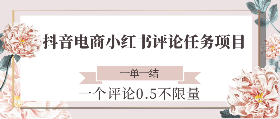 抖音电商小红书评论任务项目，一个评论0.5，一单一结 不限量-柯南聊项目