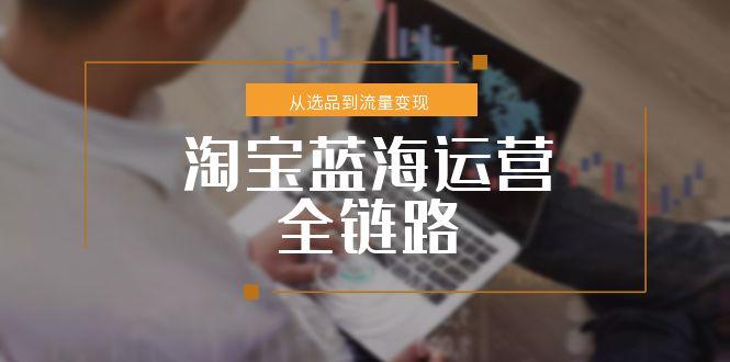 淘宝蓝海运营全链路，从选品到流量变现，小类目突围完整方案-柯南聊项目