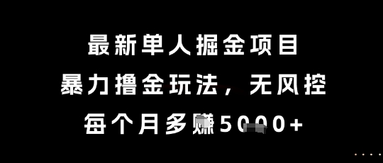 最新单人掘金项目，暴力撸金玩法，无风控，每个月多挣5k+【揭秘】-柯南聊项目