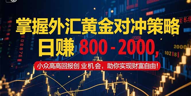 掌握外汇黄金对冲策略，日赚 800 – 2000，小众高回报创业机会，助你实…-柯南聊项目