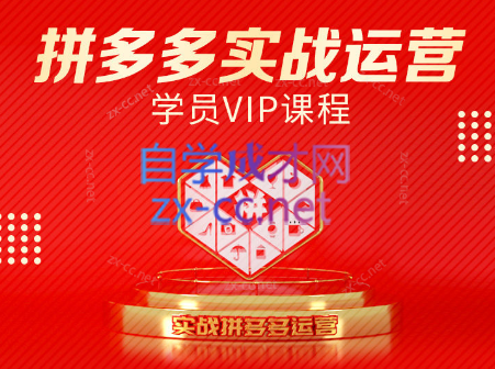 推易电商·拼多多实战运营课(更新2025月)-柯南聊项目