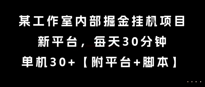 某工作室内部掘金挂G项目，新平台，每天30分钟，单机30+【揭秘】-柯南聊项目