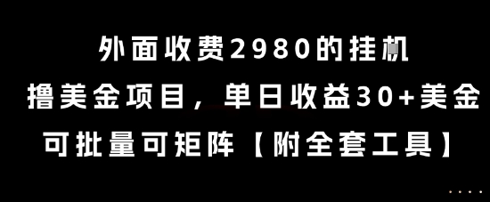 外面收费2980的挂G撸美金项目，单日收益30+美金，可批量可矩阵【揭秘】-柯南聊项目
