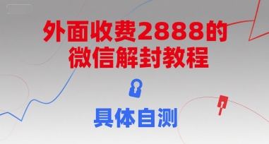 外面收费2888的微信解封教程，具体自测-柯南聊项目