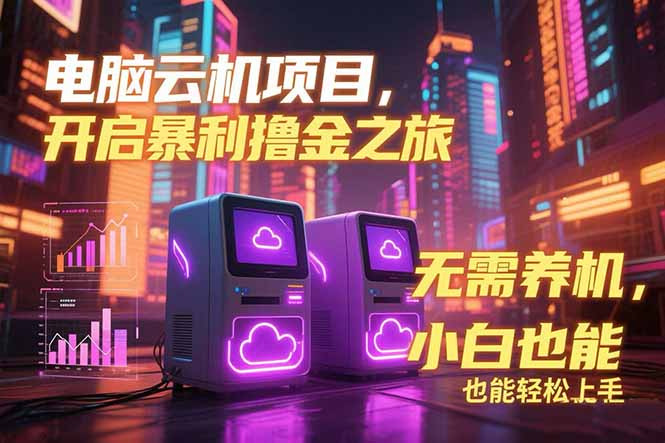 电脑云机项目 暴力撸金玩法，不需要养机 配置没有要求 单机100个窗口一…-柯南聊项目