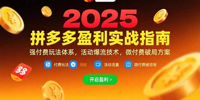 拼多多盈利实战指南，强付费玩法，活动爆流技术，微付费破局方案(更新7月-柯南聊项目