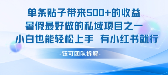 单条贴子带来5张的收益，暑假最好做的私域项目之一，小白也能轻松上手，有小红书就行-柯南聊项目