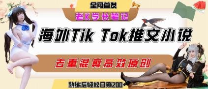 海外tiktok小说推文暴力项目，高停留率，高转化率，上手后一天搞顿饭钱不是问题-柯南聊项目