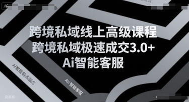 跨境私域线上高级课程，跨境私域极速成交3.0+Ai智能客服-柯南聊项目