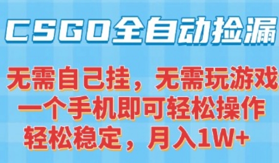 CSGO自动捡漏项目，最新独家玩法，一个手机可操作，新手小白轻松月入1W+，操作简单易上手【揭秘】-柯南聊项目