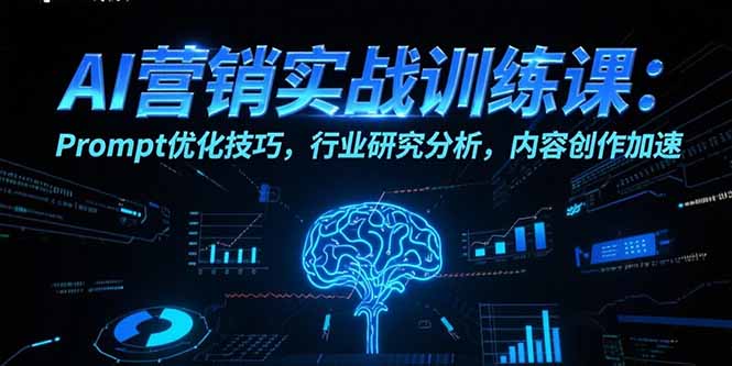 AI营销实战训练课：Prompt优化技巧，行业研究分析，内容创作加速-柯南聊项目