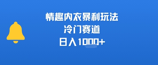 情趣内衣暴利玩法，冷门赛道，日入1k+-柯南聊项目