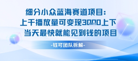 小众蓝海赛道项目：当天变现1k+适合新手操作 +适合长期玩-柯南聊项目