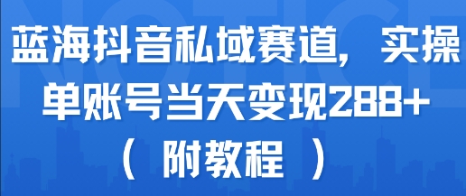 蓝海抖音私域赛道，实操单账号当天变现288+(附教程)-柯南聊项目