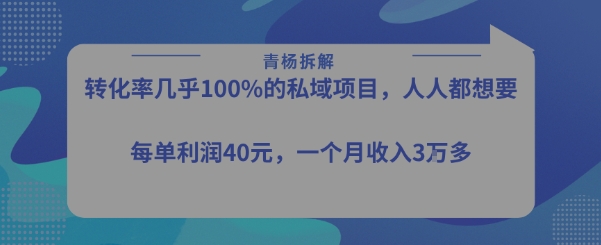 转化率最高的私域项目，每单利润40-50米，月入过1w-柯南聊项目
