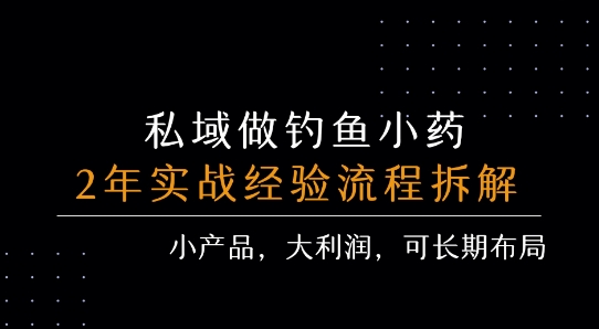 私域做钓鱼小药 每单利润3张+ 详细流程拆解-柯南聊项目