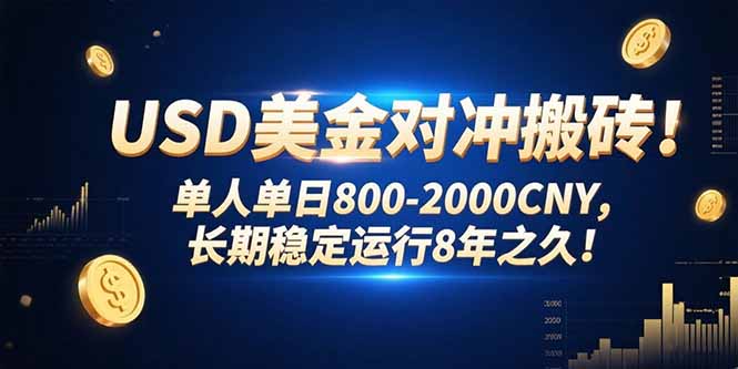USD美金对冲搬砖!单人单日800-2000CNY，长期稳定运行8年之久!-柯南聊项目