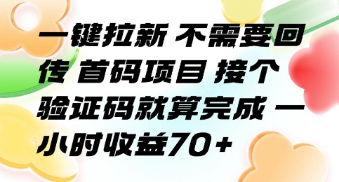 一键拉新 不需要回传 首码项目 接个验证码就算完成 一小时收益70+【揭秘】-柯南聊项目