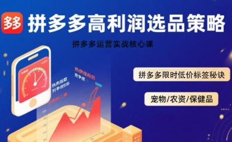 拼多多选品暴利技术实战课，拼多多高利润选品策略，拼多多限时低价标签秘诀-柯南聊项目