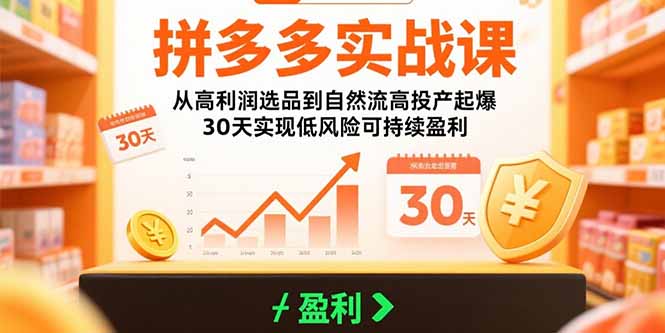 拼多多实战课：从高利润选品到自然流高投产起爆 30天实现低风险可持续盈利-柯南聊项目