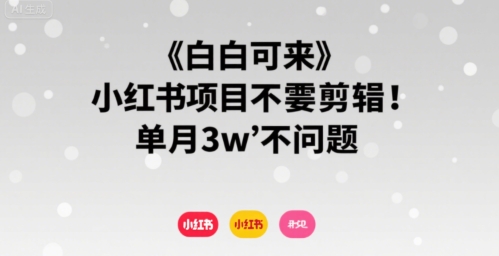 小白可来 小红书项目不需要剪辑 单月3w不是问题-柯南聊项目