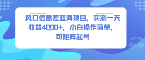 风口信息差蓝海项目，实测一天收益4k+，小白操作简单，可矩阵起号-柯南聊项目