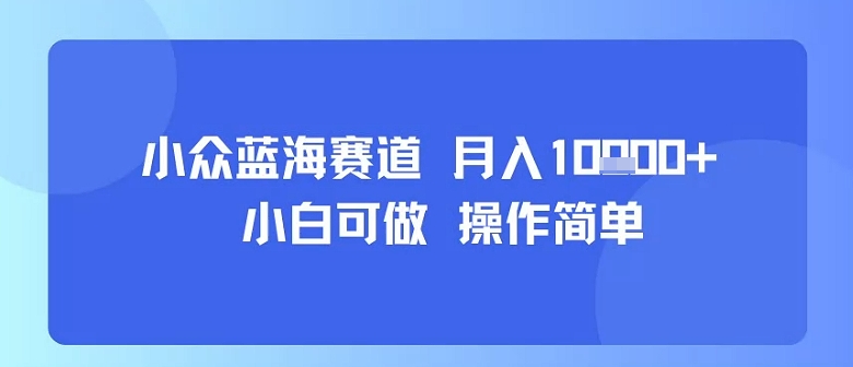 小众蓝海赛道，小白可做，操作简单，每天30分钟，月入1W+-柯南聊项目