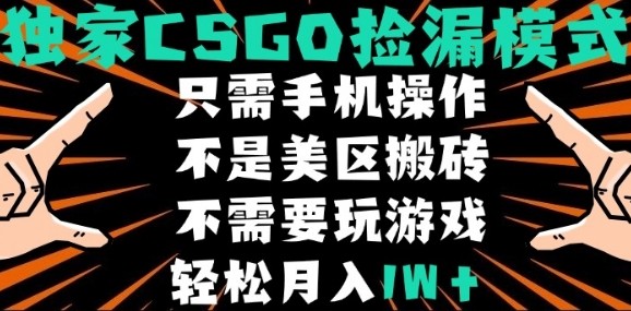 CSGO自动捡漏项目，最新独家玩法，不是美区搬砖，不需要了解和玩游戏，新手小白轻松月入1W+【揭秘】-柯南聊项目
