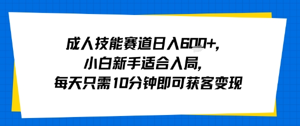 成人技能赛道日入多张，小白新手适合入局，每天只需10分钟即可获客变现-柯南聊项目