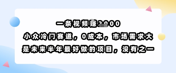 一条视频挣1k，小众冷门赛道，0成本，市场需求大，是未来半年最好做的项目，没有之一-柯南聊项目
