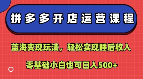 拼多多开店运营课程：蓝海变现玩法，轻松实现睡后收入，零基础小白也可日入5张-柯南聊项目