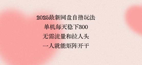 2025最新网盘自撸玩法，单机每天稳下3张，无需流量和拉人头，一个人就可轻松矩阵，全网独一份【揭秘】-柯南聊项目
