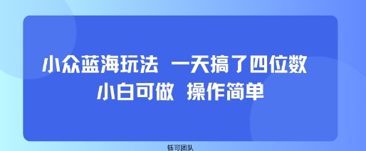 小众蓝海玩法 一天搞了四位数 小白可做 操作简单-柯南聊项目