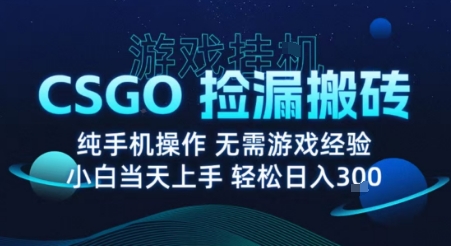 8月最新游戏搬砖，CSGO纯挂G，不需要玩游戏，实现真挂G，月入1W+【揭秘】-柯南聊项目