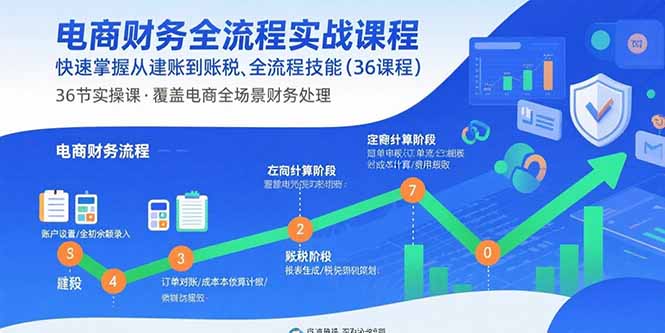 电商财务全流程实战课程：快速掌握从建账到报税的全流程技能(36节课-柯南聊项目