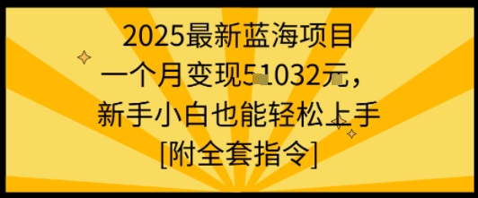 2025最新蓝海项目一个月变现1w+新手小白也能轻松上手【附全套指令】-柯南聊项目