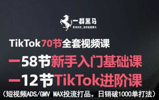 TikTok全套视频课，新手入门+进阶课，短视频ADS-GMV MAX投流打品，日销破1000单打法-柯南聊项目