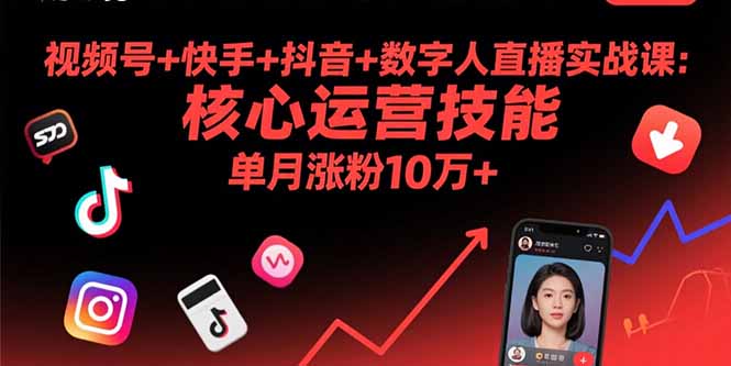 视频号+快手+抖音+数字人直播实战课(9月-柯南聊项目