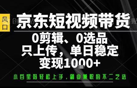 你出账号，我来运营，保底日入1k+，开启躺賺模式【揭秘】-柯南聊项目