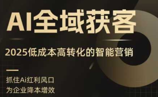 AI全域获客实训营，2025低成本高转化的智能营销，精准找客，高效营销-柯南聊项目