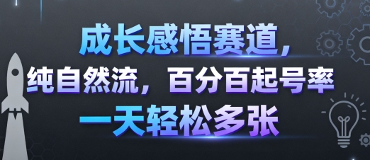 成长感悟赛道，纯自然流，百分百起号率 一天轻松多张-柯南聊项目