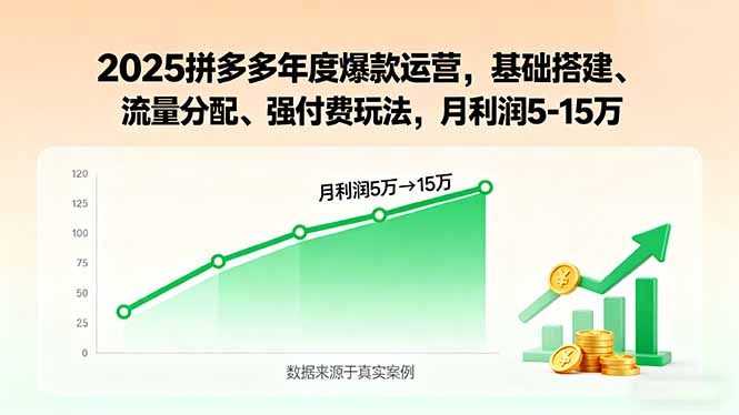 2025拼多多年度爆款运营，基础搭建、流量分配、强付费玩法，月利润5-15万-柯南聊项目