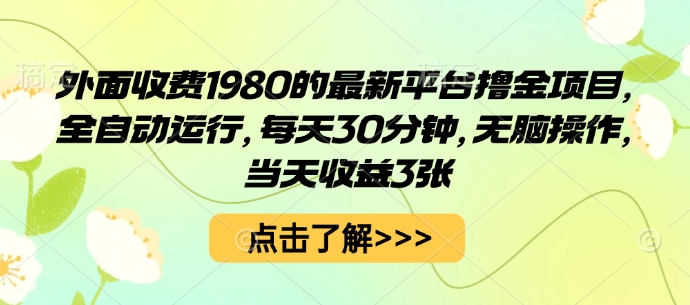外面收费1980的最新平台撸金项目，全自动运行，每天30分钟，无脑操作，当天收益3张【揭秘】-柯南聊项目