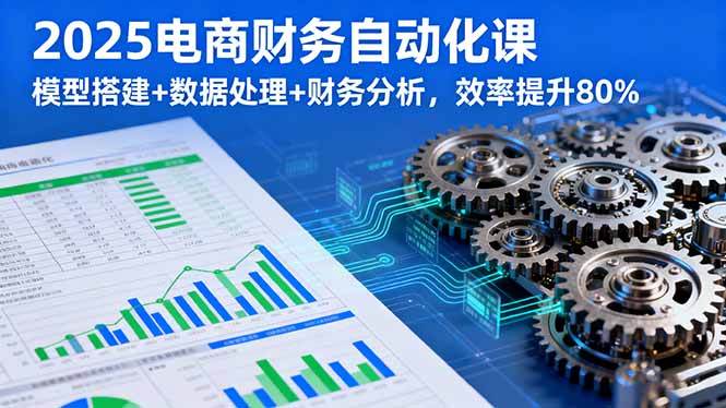 2025电商财务自动化课，模型搭建+数据处理+财务分析，效率提升80%-柯南聊项目