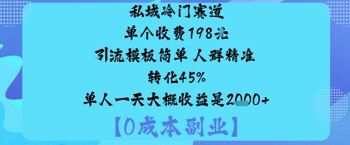 私域冷门赛道:单个收费198米引流模板简单人群精准转化45%单人一天大概收益是1k+-柯南聊项目